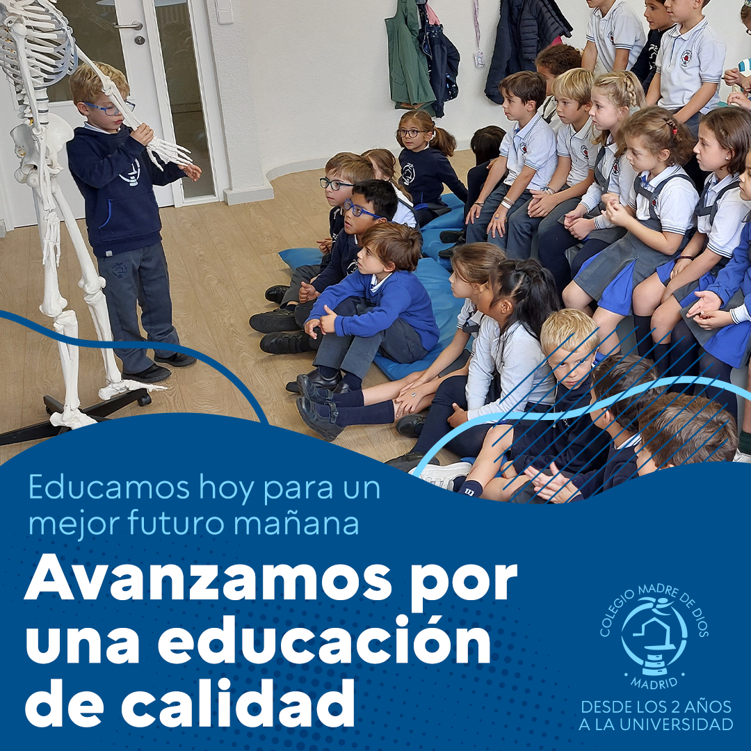 Educación de calidad